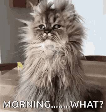 Buongiorno