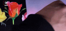 GIF by Supacolor