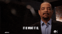 What Is Thisfuckery Gifs Get The Best Gif On Giphy What Is Thisfuckery Gifs Get The Best Gif On Giphy