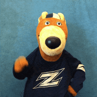 Gozips GIF by The University of Akron