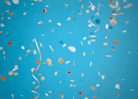 Royal Dutch Airlines Party GIF by KLM