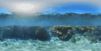 diving queensland GIF