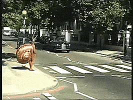 200.gif
