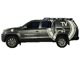 Vw Campo Sticker by Colombo y Magliano