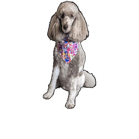 Bandana Dog Sticker by Geekster Pets
