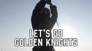 Vegas Golden Knights Sport GIF by Sealed With A GIF