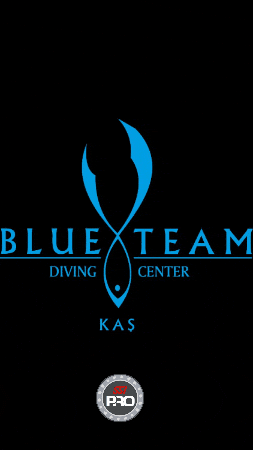 Blueteam Dalış GIF
