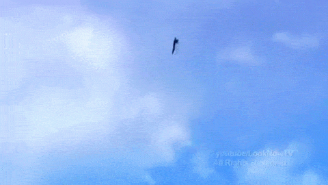 大量的UFO照片证据  UFO探討