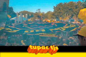 Tupac Tjs GIF