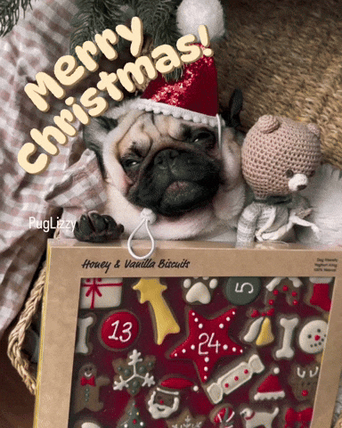 Christmas Eve Pug GIF