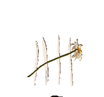 En Amargue Sticker by Natti Natasha