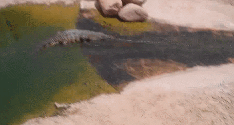 water slide GIF