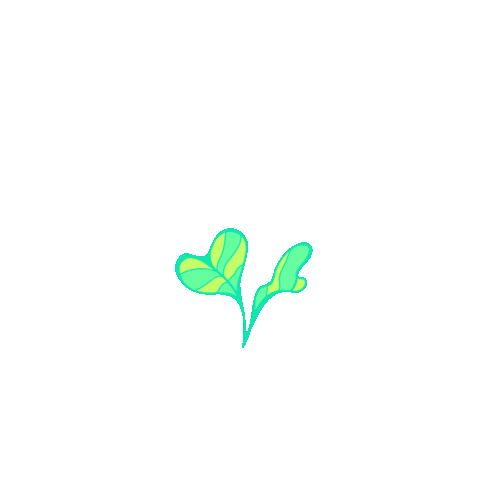 Flowers Grow Sticker