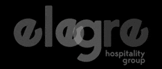 Alegra Group GIF
