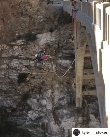 Bungee America GIF