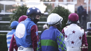 Horse Racing Friends GIF by Ascot Racecourse