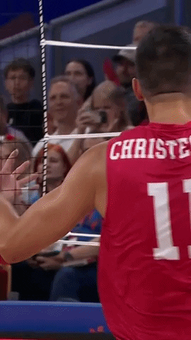 American What GIF by Volleyball World