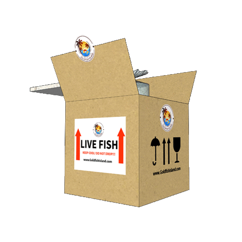 goldfishisland Sticker