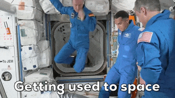 200.gif?cid=fc005b08b840ab128c1d5e3d2fd587523060229c90590616&rid=200.gif&ct=g