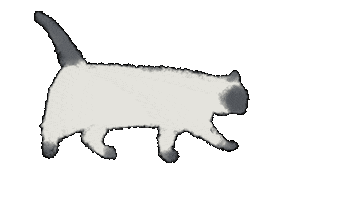 Cat 歩く Sticker by Illustrator.aki