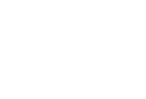 Lacy Sticker by Kamarado's