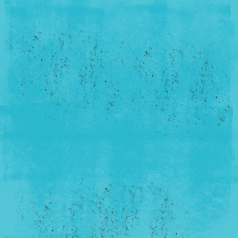 Will Works GIF