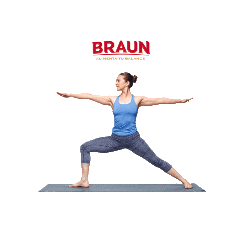 BraunEc Sticker