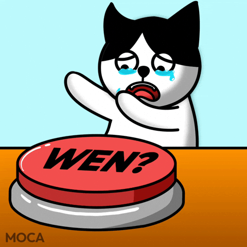Cat Crying GIF by Moca Network