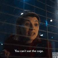 Doctor Who Television GIF by BBC America