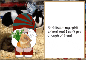 Bunny Rabbit Gnome GIF