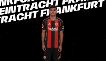 Come On Bundesliga GIF by Eintracht Frankfurt