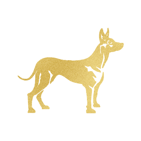 XOLO Real Estate Sticker