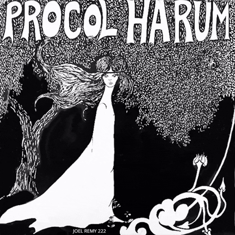 Procol Harum Motion GIF by joelremygif