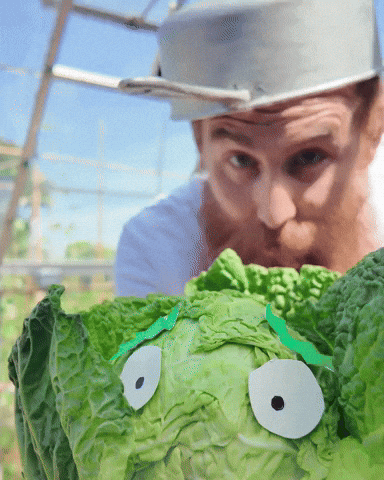 Plants Vs Zombies GIF