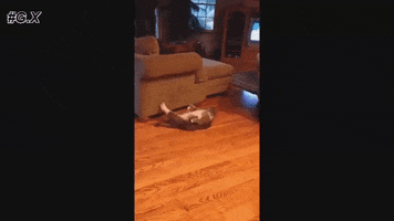 scarecrow  GIF