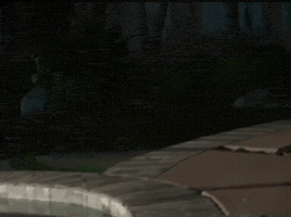 Hotline GIF by soviets funny collection
