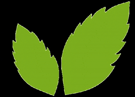 Camibio - Fedeli alla Natura GIF