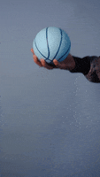 March Madness Play GIF by figopet