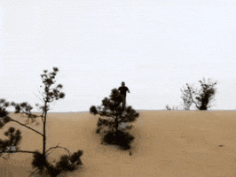 Idiot Stupid Guy GIF