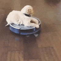 Vacuum Robot Gifs Get The Best Gif On Giphy