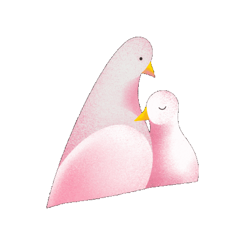 Festival Teresina Sticker by festivalgirasol