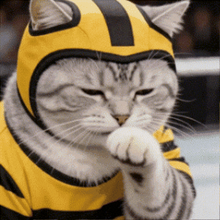 Martial Arts Fight GIF