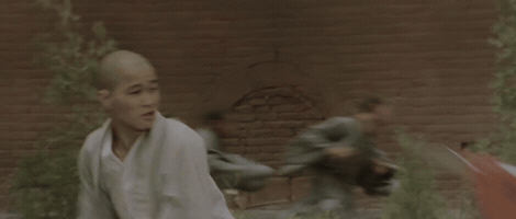 The Shaolin Temple GIF