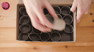 Hacking Cheat Codes GIF by LifehackingNL