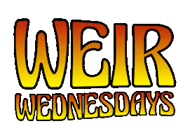 Grateful Dead Wednesday Sticker by Bob Weir