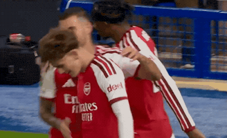 Arsenal 2026 GIF by memes
