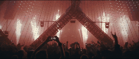 Party GIF