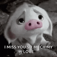 Im Going To Miss Them So Much Gifs Get The Best Gif On Giphy Im Going To Miss Them So Much Gifs Get The Best Gif On Giphy