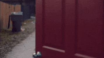 Surprise Guitar GIF by ZZ Ward