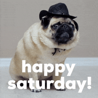 Its-saturday GIFs - Get the best GIF on GIPHY